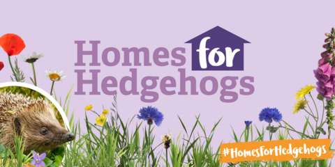 Homes for hedgehogs web page header
