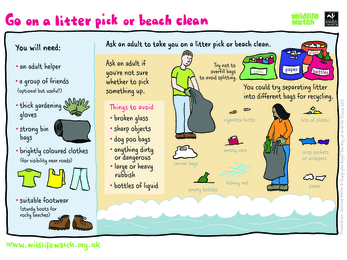 go on a litter pick or beach clean