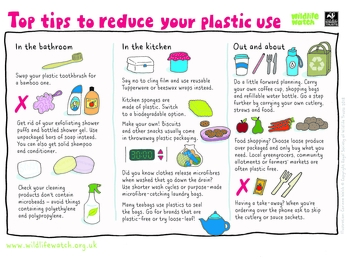 reducing plastic