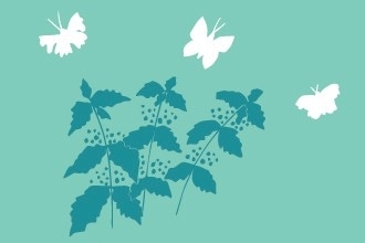 Gardening butterflies illustration