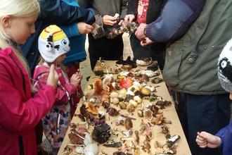 A table of Fungi found at our Dommett Wood reserve on Blackdown Hills during a Fungi Foray organised by the Taunton Deane Area Group in October 2019
