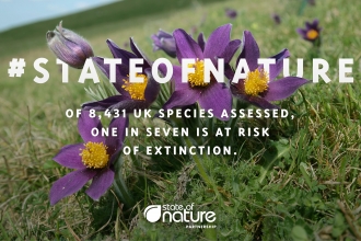 State of Nature infographic which states 'Of 8,431 species assessed, one in seven is at risk of extinction'