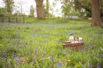 A meadow landscape with picnic basket
