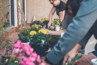 Several people tending their flowers, Vanessa Gardening Group