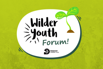 Youth forum graphic