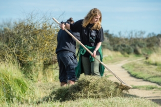 Women rakes up cuttings as part of a volunteering session