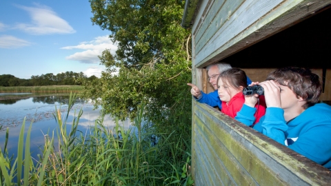 Family birdwatching at Westhay