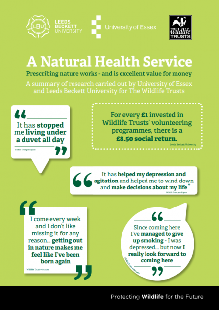 Quotes from people who have found Wildlife Trusts programmes beneficial for their health and wellbeing