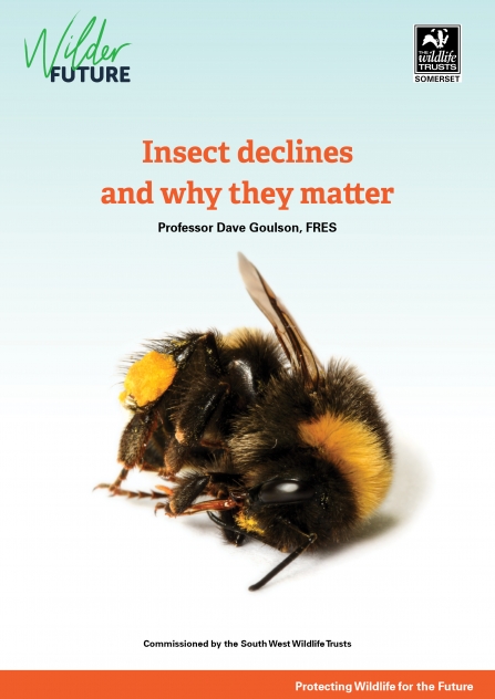 Action for insects report