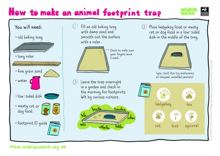 How to make a footprint trap