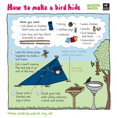 how to make a bird hide