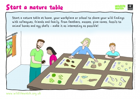 start a nature table