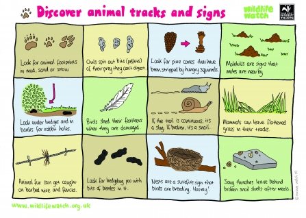 Discover animal tracks & signs