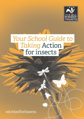The front cover of the Action for Insects guide for schools