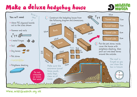 A guide to making a deluxe hedgehog house