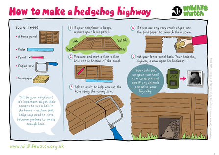A guide to making a hedgehog highway
