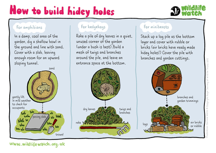 A guide to building hidey holes