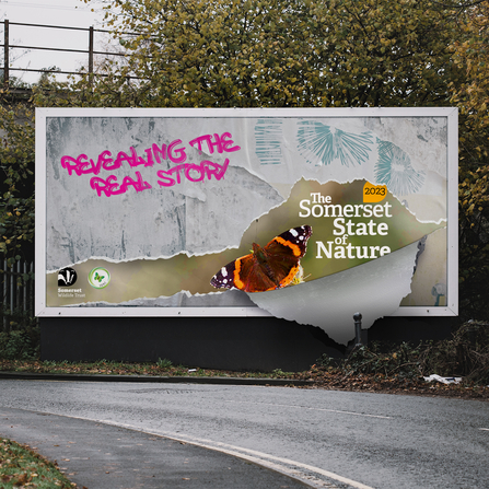 Somerset State of Nature billboard