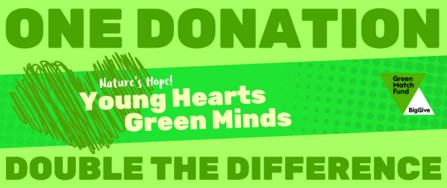Big Give Green Match Fund social