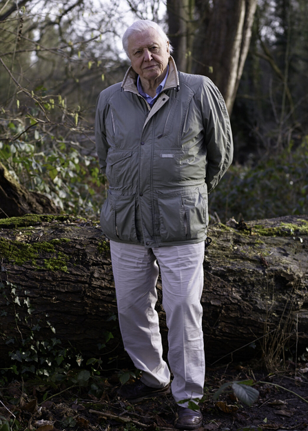 Portrait photograph of Sir David Attenborough, President Emeritus