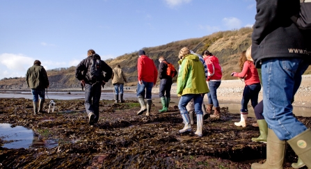 People taking part in a coastal foraging walk on the seashore