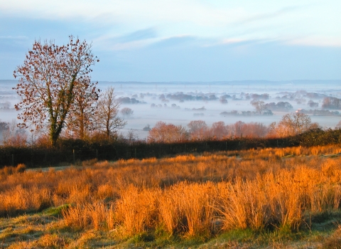 Yarley Fields in the morning mist Jeff Bevan