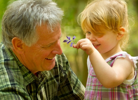 A young girl shows her grandad a bluebell 