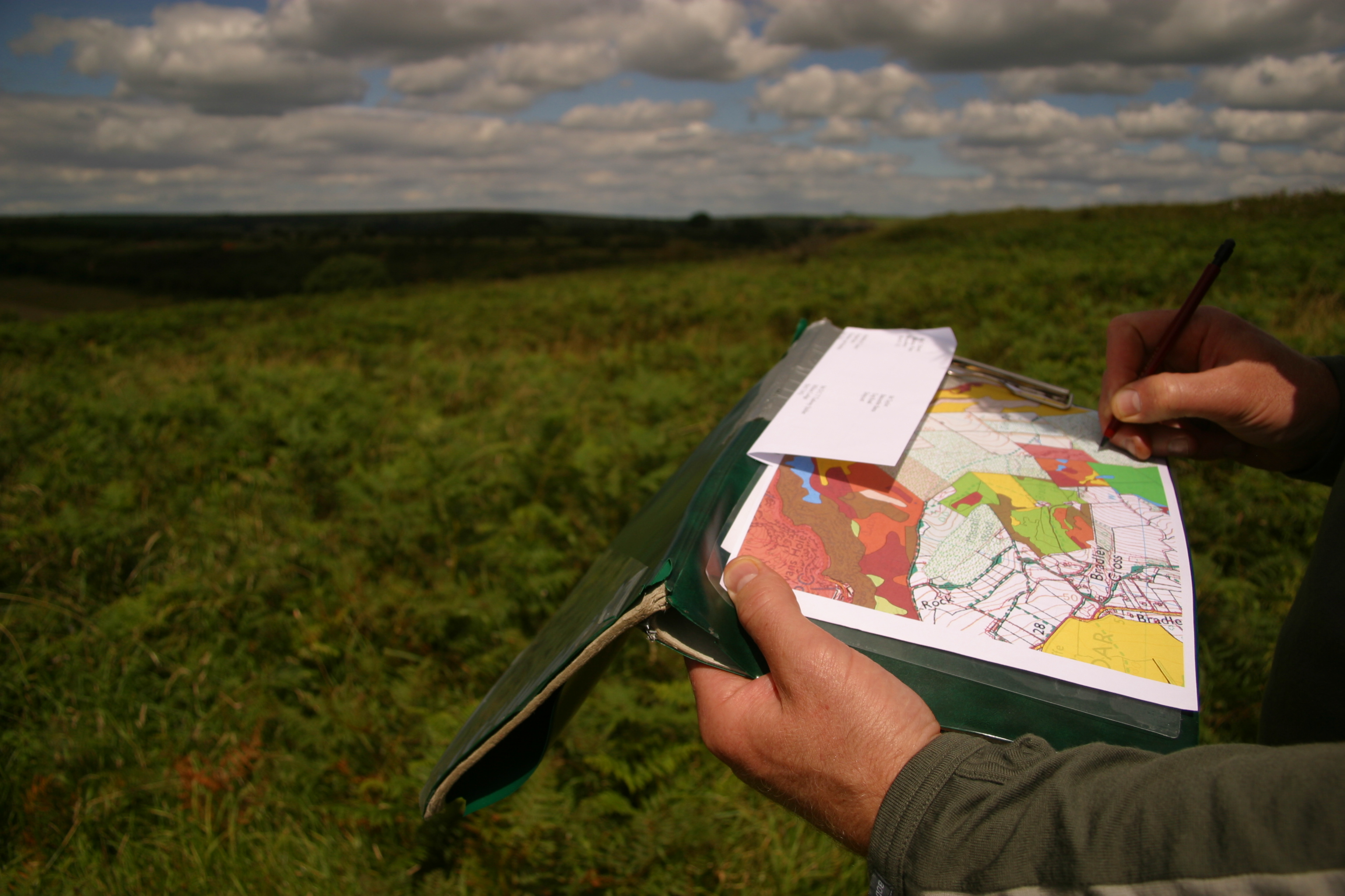 Mapping
