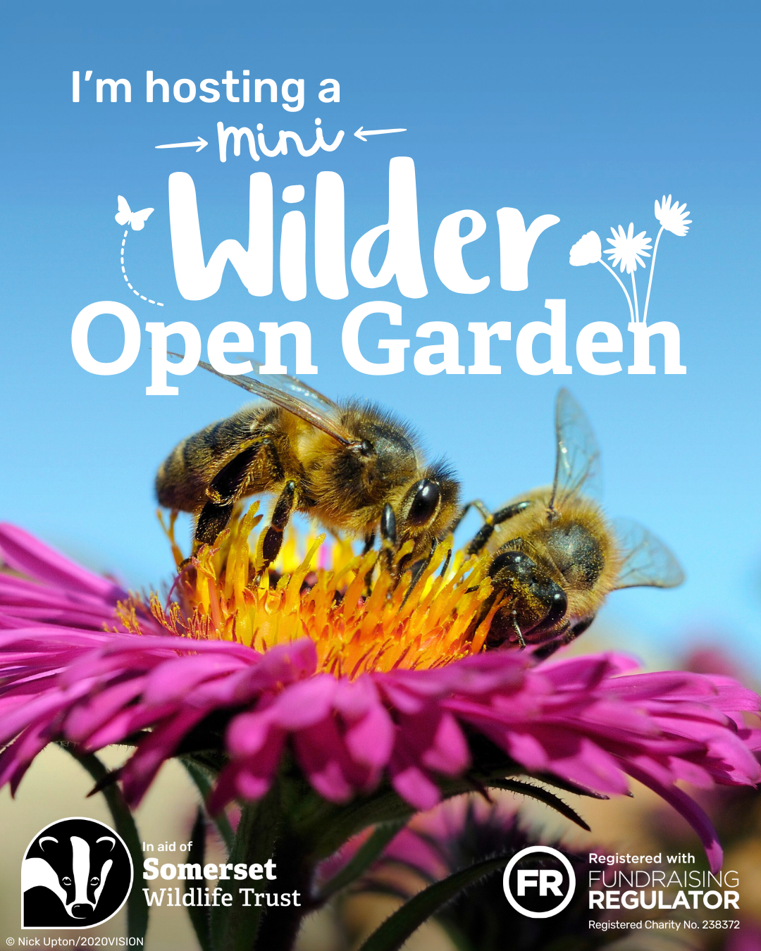 Social media graphic featuring bees, promoting a Mini Wilder Open Garden event.