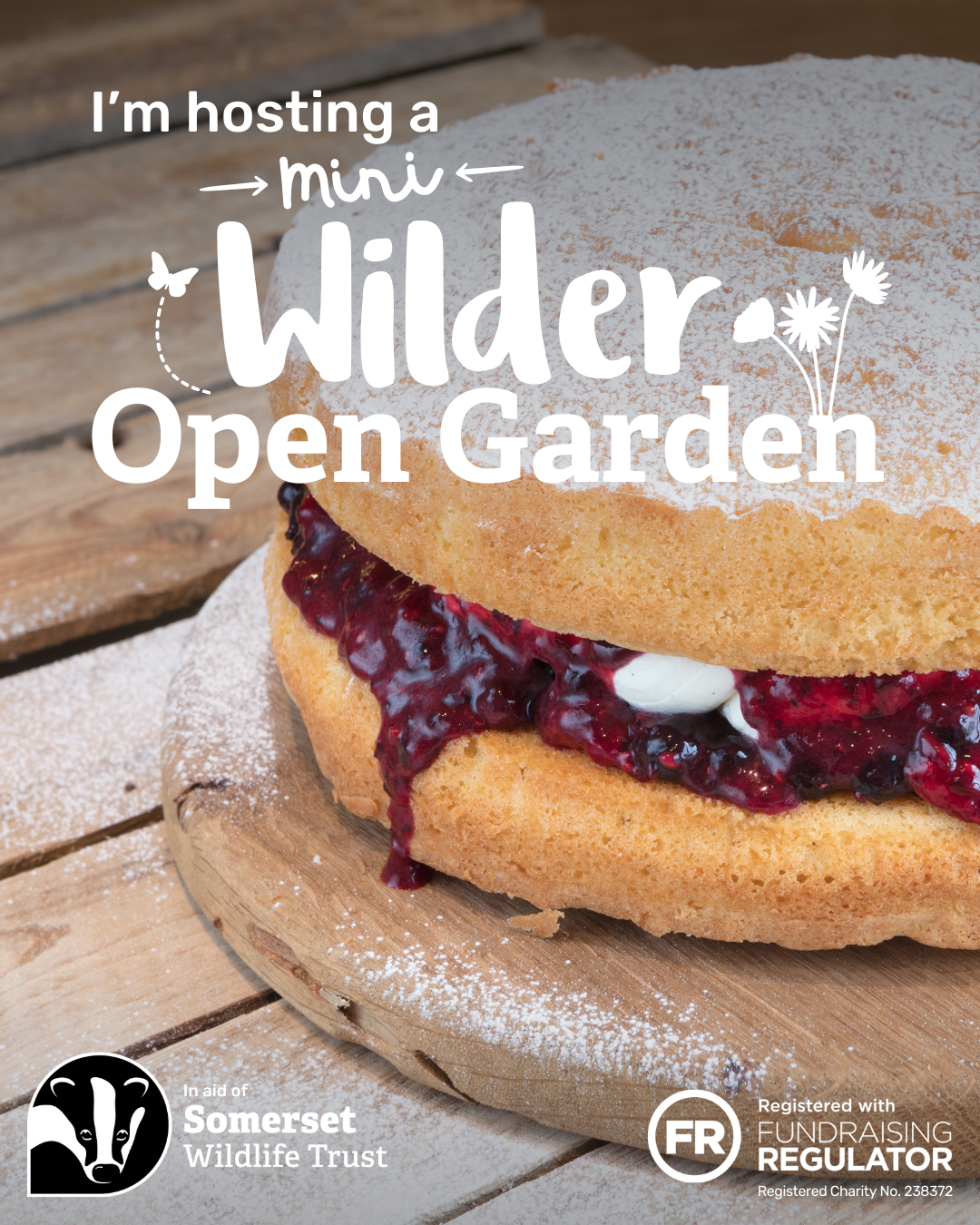 Social media graphic featuring a cake, promoting a Mini Wilder Open Garden event.