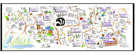 Artists live illustration of an event