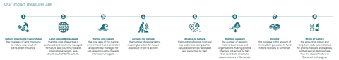 Impact Measures graphic