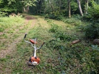 Ride vegetation cutting