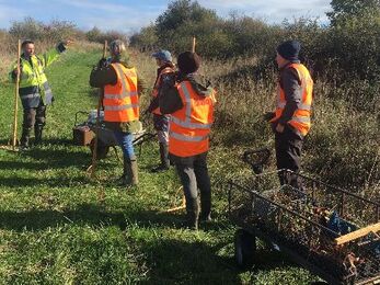 Meadow workshop taking place