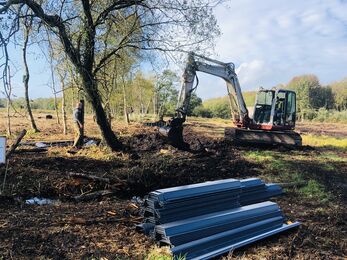 Blog from the bog