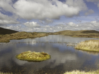 Peaty pool in bog moorland, Wales