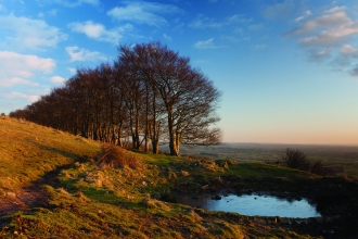 Draycott Sleights trees pond and blue sky Jeff Bevan