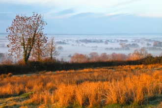 Yarley Fields in the morning mist Jeff Bevan