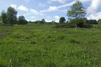 Yarty Moor panoramic view Sarah Fox