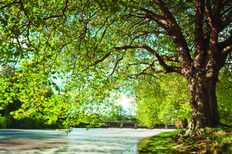 French Weir Park and River Tone