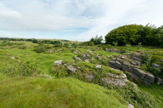 Ubley Warren Nature Reserve