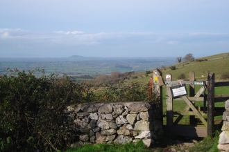 Stone wall and gate at Cooks Field