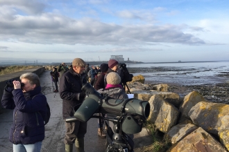 Birdwatchers on Sea Wall at Stolford