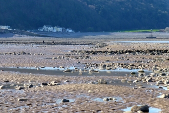 Minehead Rockpool Landscape