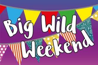 Big Wild Weekend