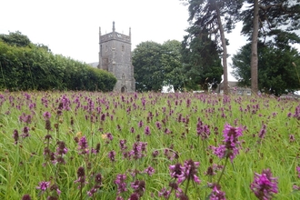 Priddy churchyard
