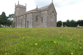 church with flowers on the grass in foreground