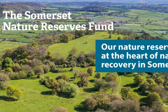nature reserves fund banner, aerial view of Dundon Beacon