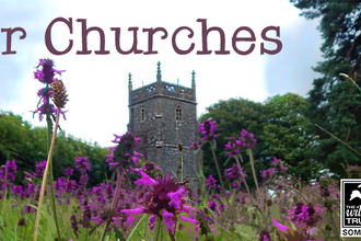 wilder churches banner, purple flowers in foreground with a church in the background