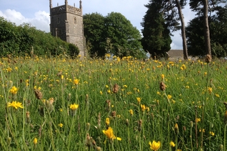 Priddy churchyard